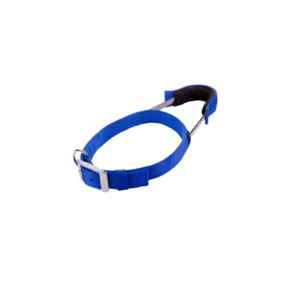 Adjustable Dog Collar with Integrated Leash